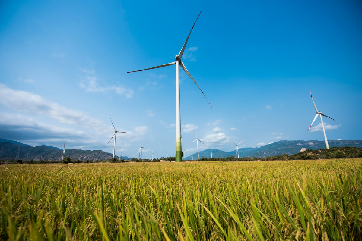 Dự án điện gió mới được đầu tư tại Tiền Giang